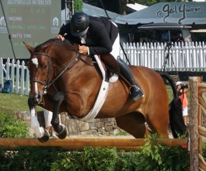 Upperville Top Painting References copyright Gail Guirreri-Maslyk