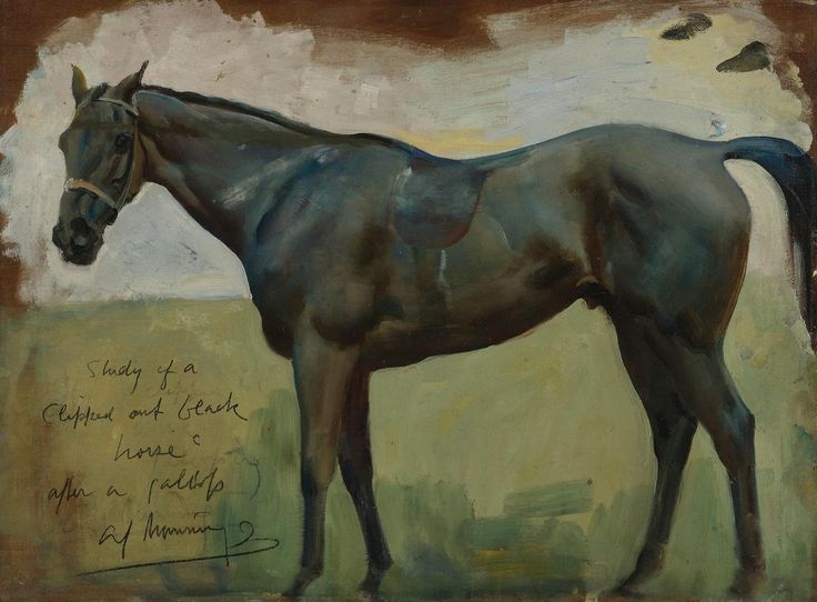 Clipped black horse after a gallop by Alfred Munnings