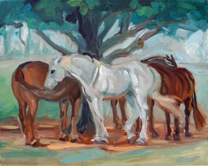 Retired Horse Pasture Shade Tree