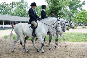 Upperville Top Painting References copyright Gail Guirreri-Maslyk