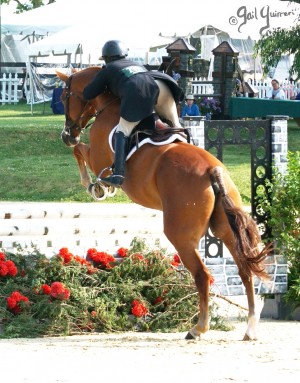 Upperville Top Painting References copyright Gail Guirreri-Maslyk