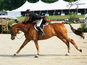 Upperville Top Painting References copyright Gail Guirreri-Maslyk