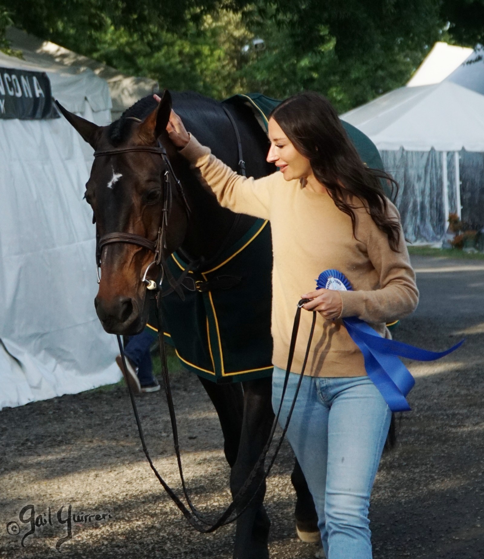 Champion Upperville Hunter, 2024